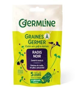 Seeds germinate - Horseradish